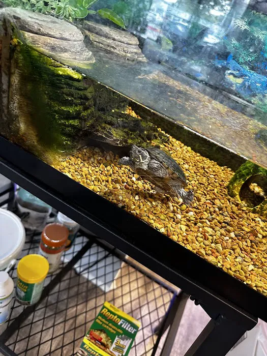 Optimum Aquarium Picture 9