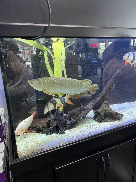 Optimum Aquarium Picture 8