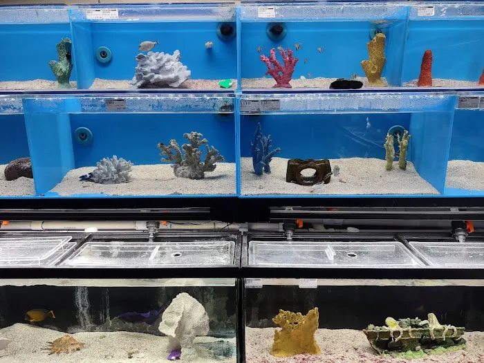 Optimum Aquarium Picture 7