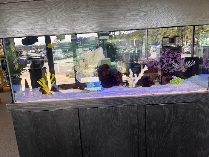 Optimum Aquarium Picture 10