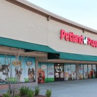 Petland Kennesaw ico