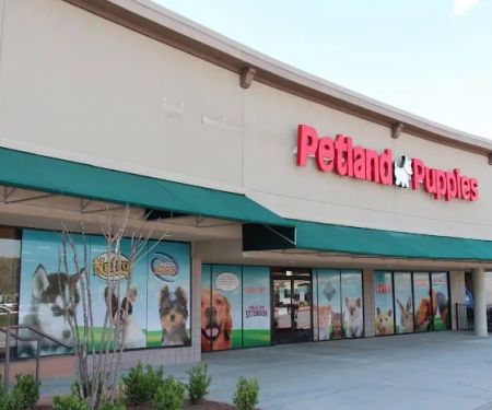 Petland Kennesaw