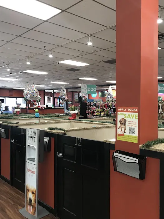Petland Kennesaw Picture 2
