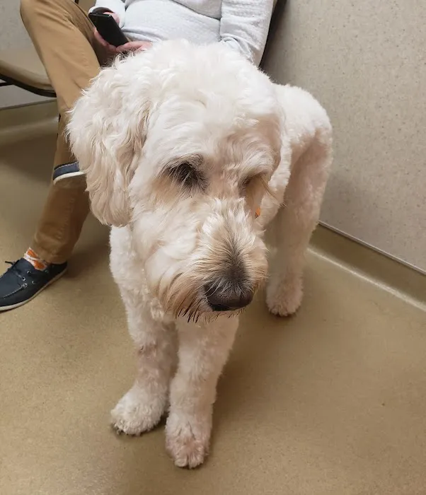 Londonderry Animal Hospital Picture 1