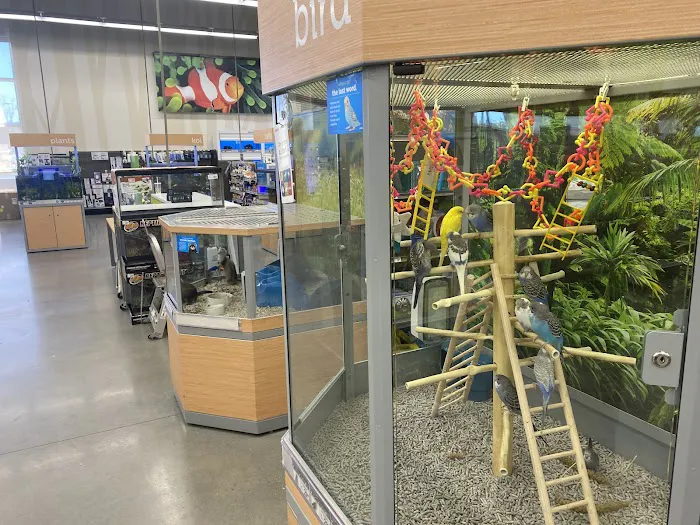 Petco Picture 2