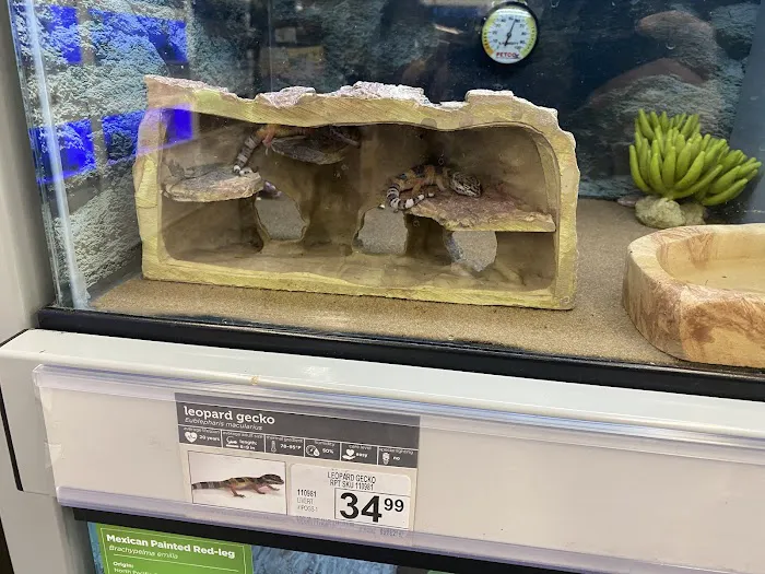 Petco Picture 3