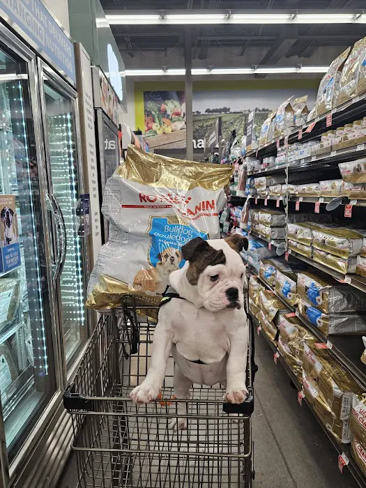 Petco Picture 5