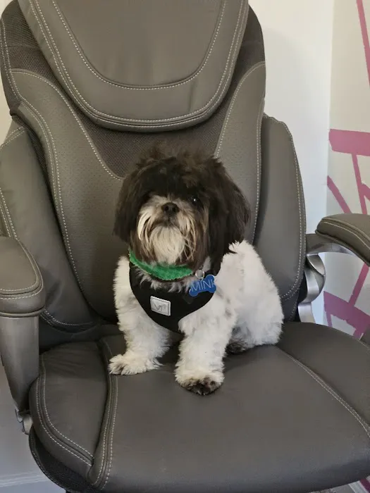 Petco Picture 4