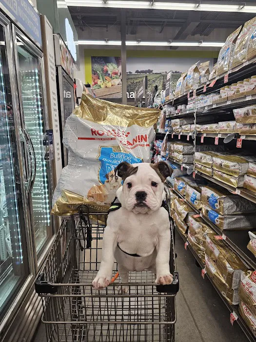 Petco Picture 7