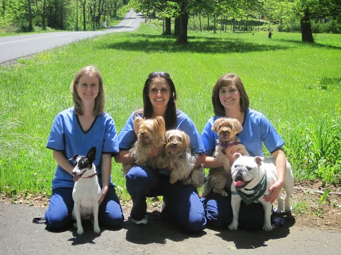 Mountain Shadow Veterinary Hospital Picture 2