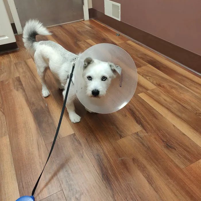 Mountain Shadow Veterinary Hospital Picture 10