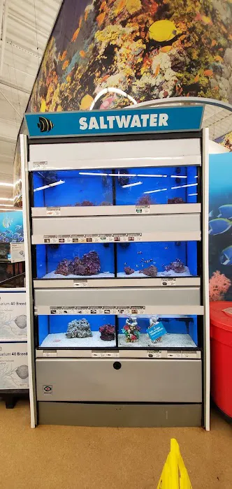 Petco Picture 6