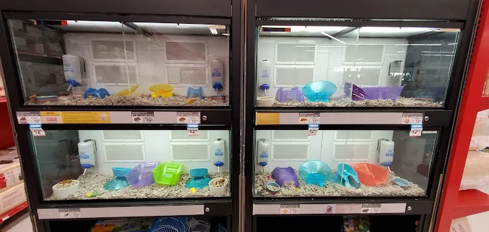 Petco Picture 2