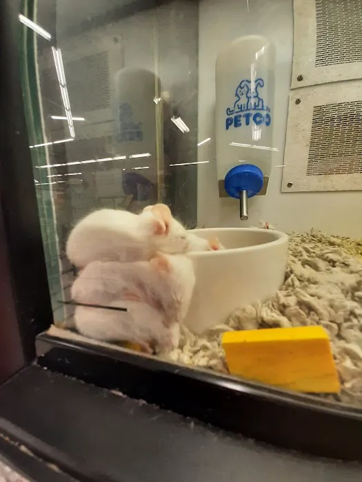 Petco Picture 10