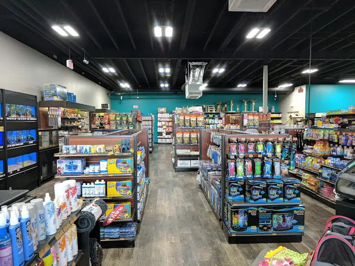 Pet Supermarket Picture 5