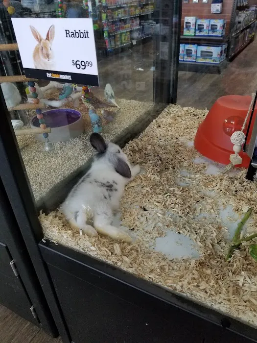 Pet Supermarket Picture 10