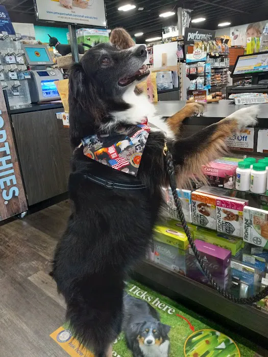 Pet Supermarket Picture 6