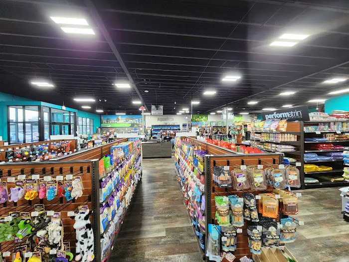 Pet Supermarket Picture 4