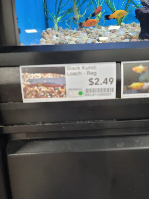 Pet Supermarket Picture 2