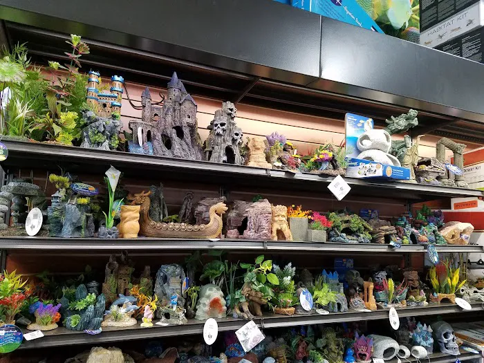 Pet Supermarket Picture 9