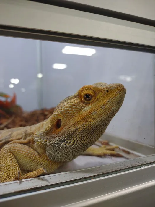Pet Supermarket Picture 7