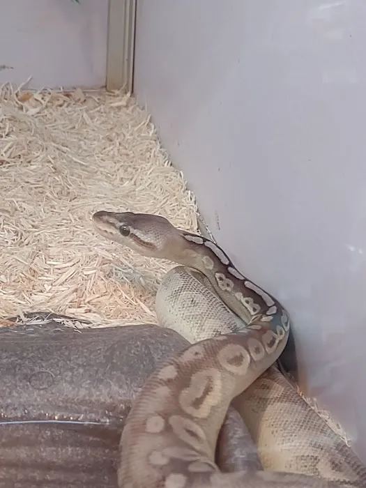 Pet Supermarket Picture 8