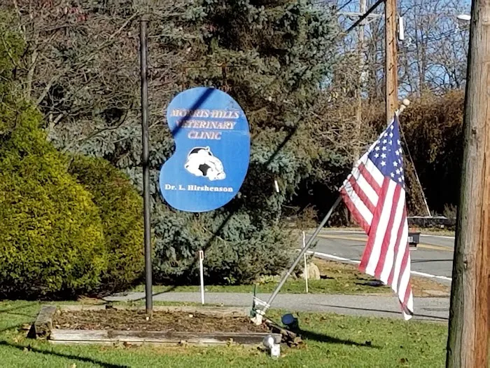 Morris Hills Veterinary Clinic Picture 3