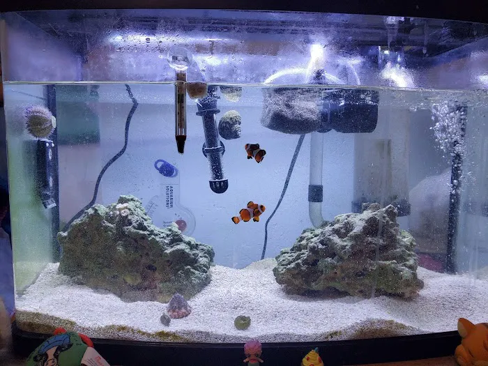 Off The Hook Marine Fish Picture 8