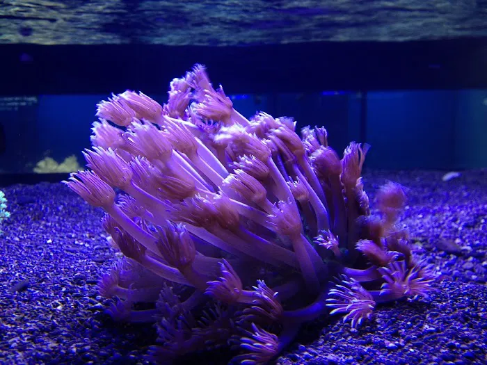 Off The Hook Marine Fish Picture 6