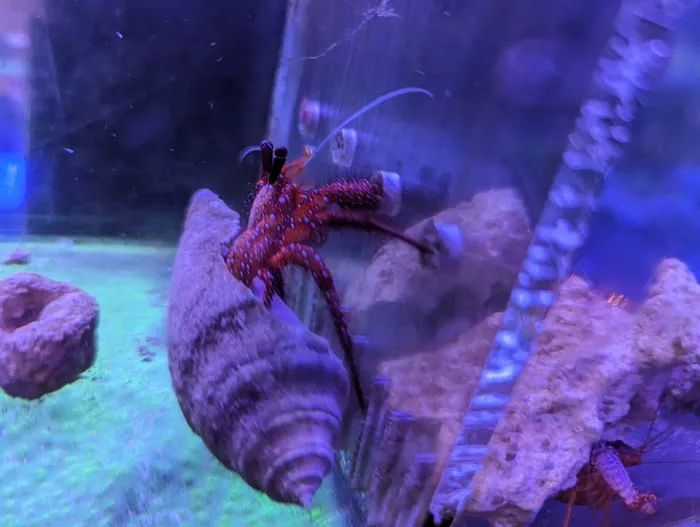 Off The Hook Marine Fish Picture 4