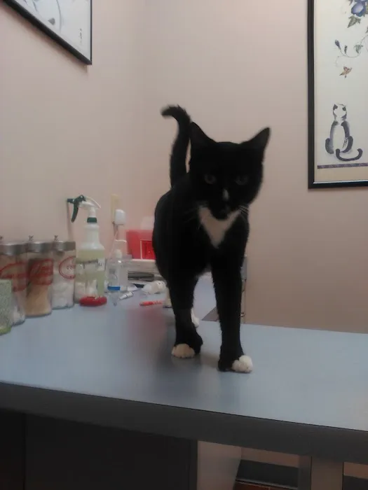 Companion Animal Hospital & Avian/Exotic Clinic Picture 1