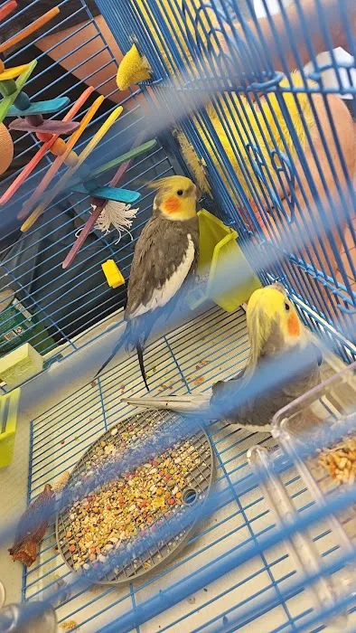 Companion Animal Hospital & Avian/Exotic Clinic Picture 6