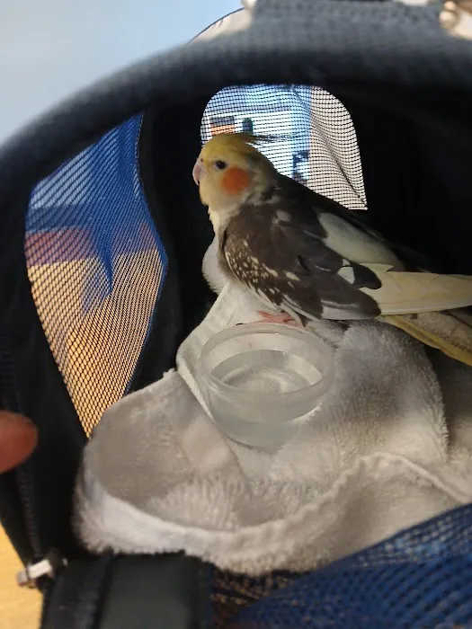 Companion Animal Hospital & Avian/Exotic Clinic Picture 2