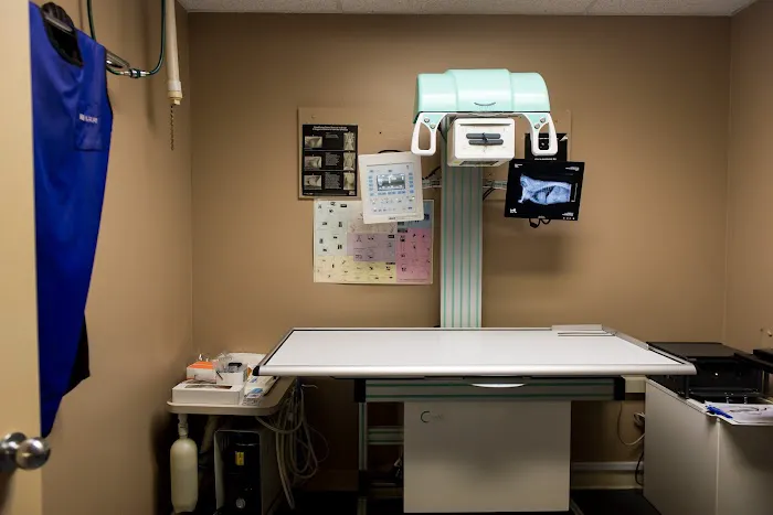 Veterinary Center of Morris County Picture 1