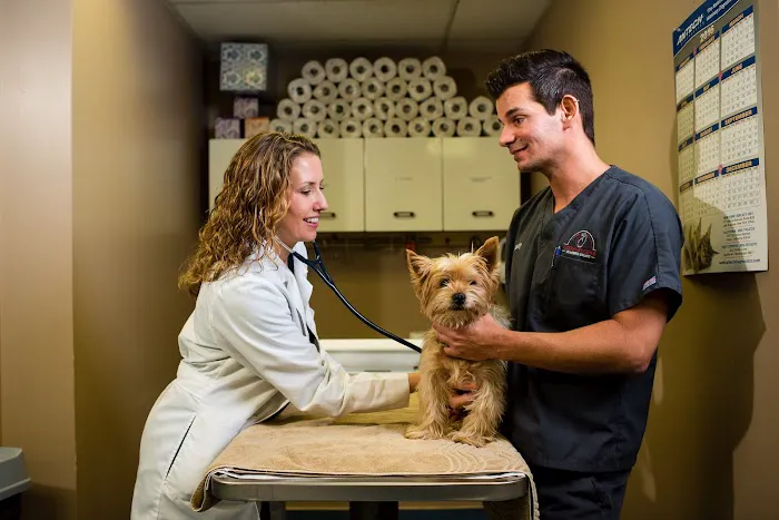Veterinary Center of Morris County Picture 2