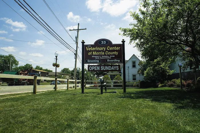 Veterinary Center of Morris County Picture 6
