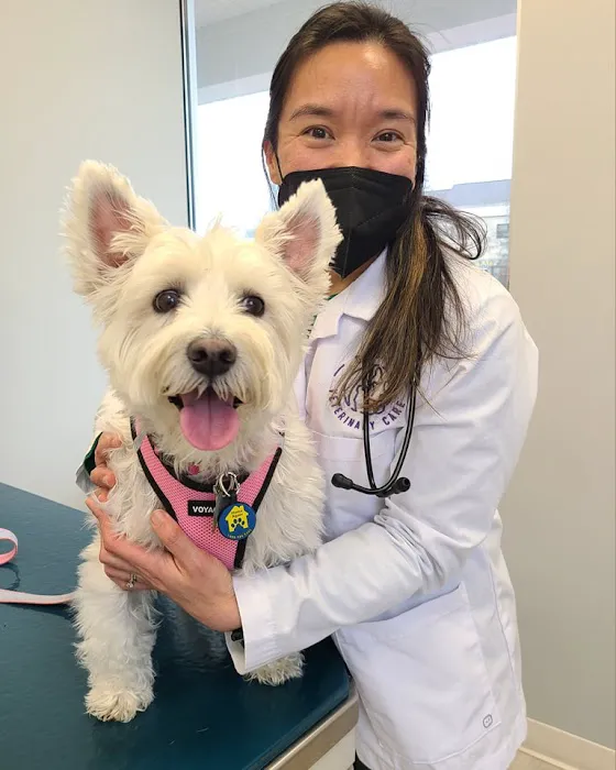 Devotion Veterinary Care Picture 1