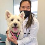 Devotion Veterinary Care