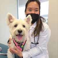 Devotion Veterinary Care ico