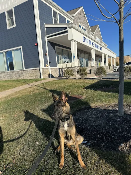 Devotion Veterinary Care Picture 9