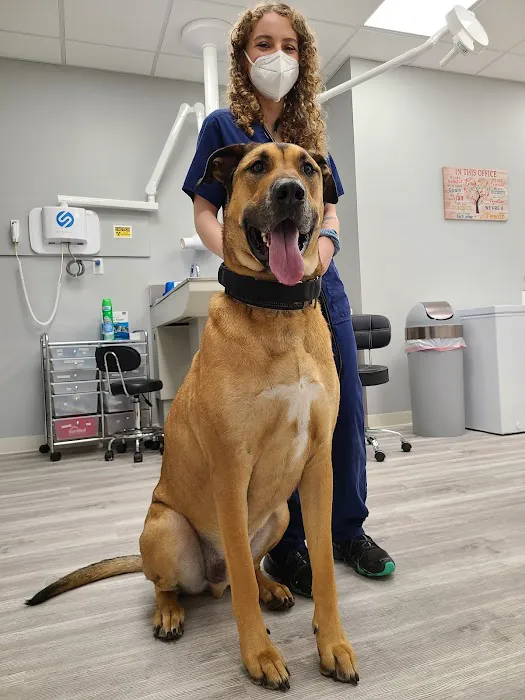 Devotion Veterinary Care Picture 4