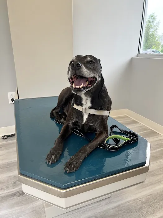 Devotion Veterinary Care Picture 8