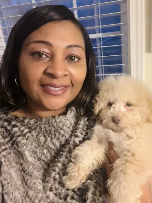 Shanis Luxury Pooches and Pups Picture 7