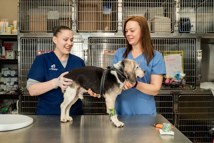The Animal Hospital of Linden Picture 4