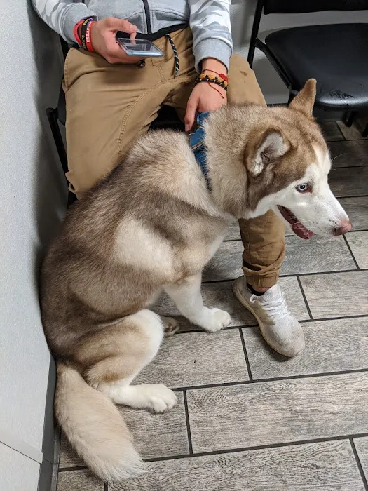 The Animal Hospital of Linden Picture 10