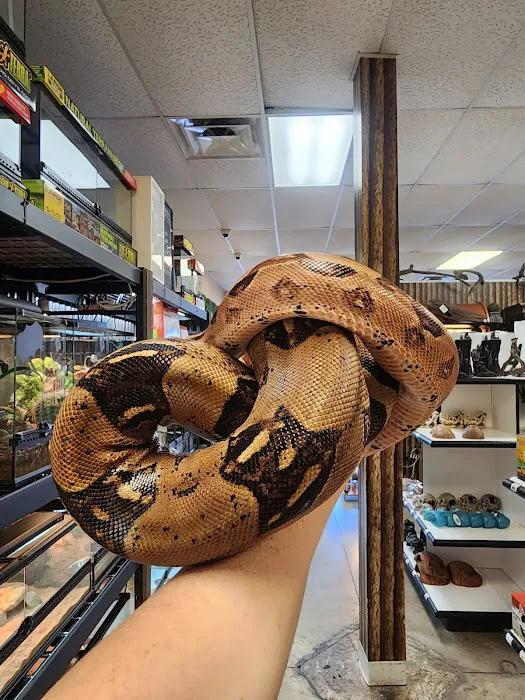 Exotic Envy Reptiles Picture 1