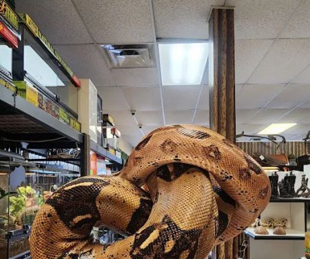 Exotic Envy Reptiles