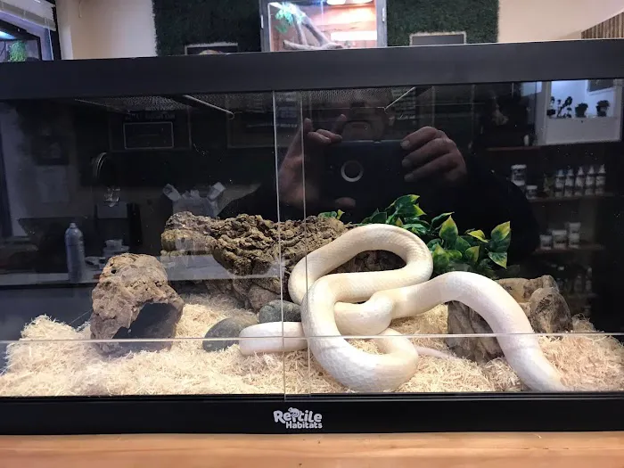 Exotic Envy Reptiles Picture 2