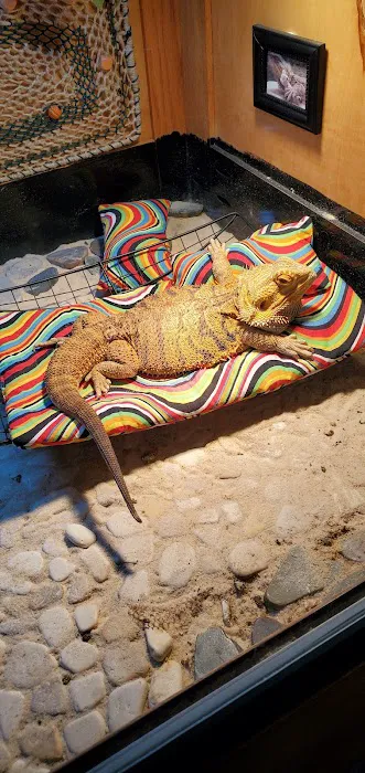 Exotic Envy Reptiles Picture 3