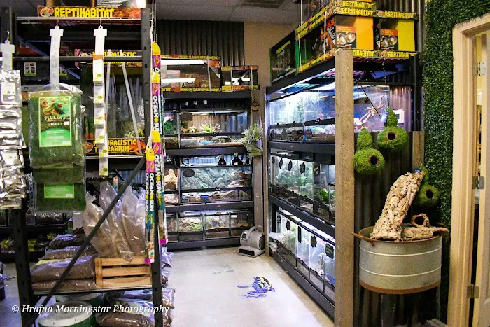 Exotic Envy Reptiles Picture 5